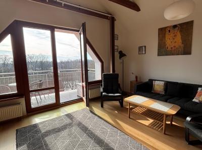 Ubytovani Podebrady Apartmany Resident A11 60