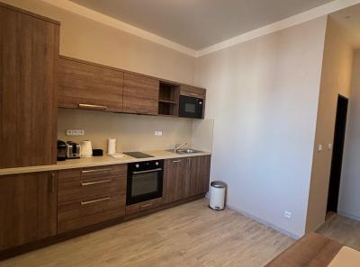 Ubytovani Podebrady Apartmany Resident A9 39